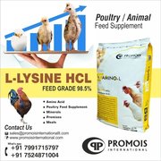 L Lysine Manufacturer